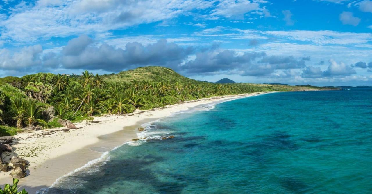 Апартаменты Studio A Louer Proche Des Plages Сент-Анн Экстерьер фото
